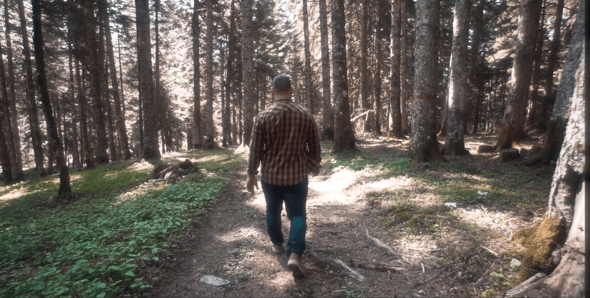 NtinosFurniture craftsman walking through the forest near Trikala, Thessaly